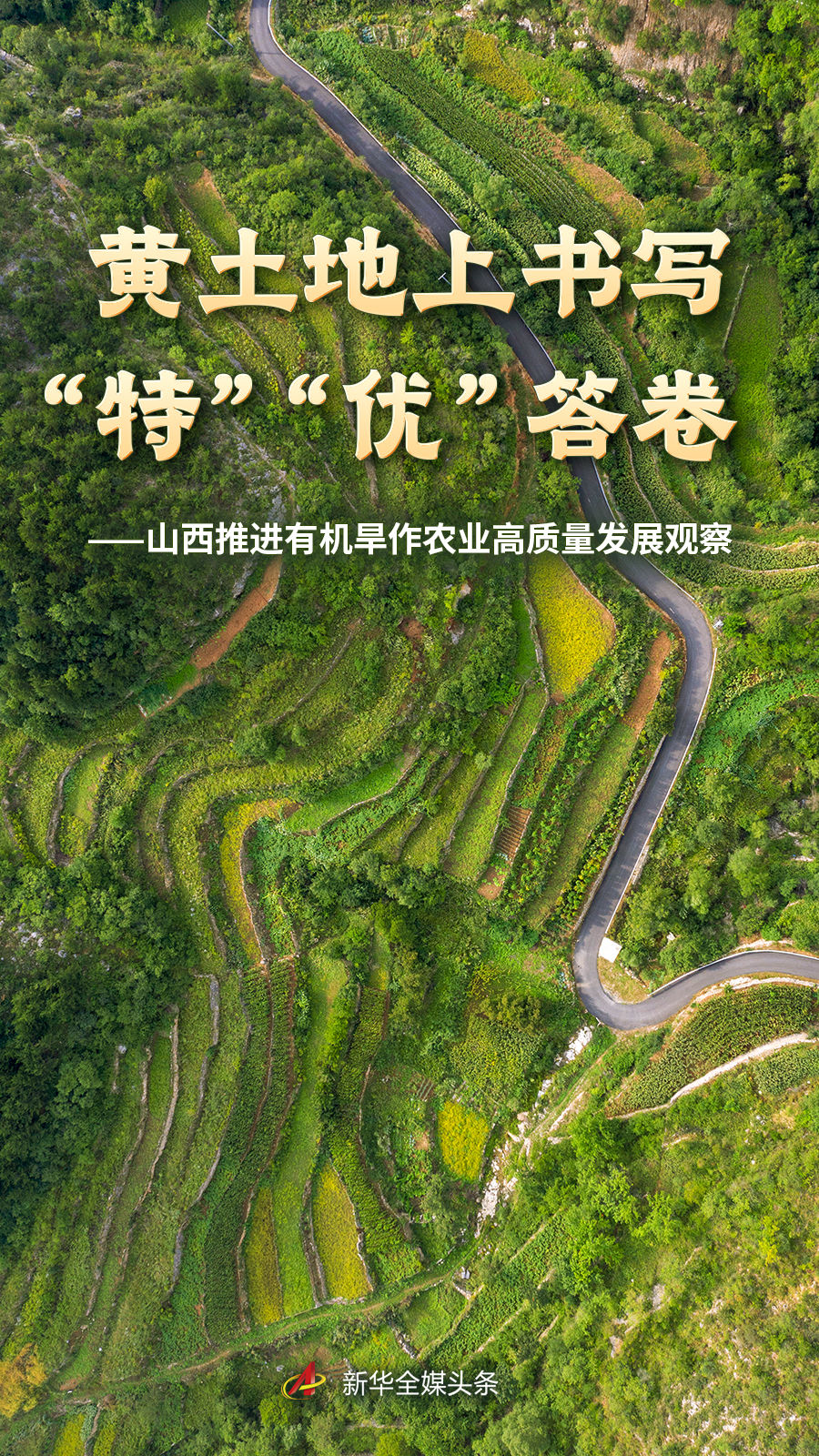 球探比分围绕球探体育平台不断创新，回应用户的真实需求。 - 球探比分